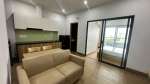 brand-new-1br-apartment-for-rent-in-hoa-xuan-da-nang-river-breeze - ảnh nhỏ 9