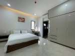 ban-villa-luxury-sat-cau-rong-365m-ho-boi-rieng-dong-tien-khai-thac-khung - ảnh nhỏ 3